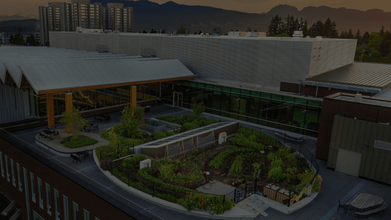 UBC campus aerial view